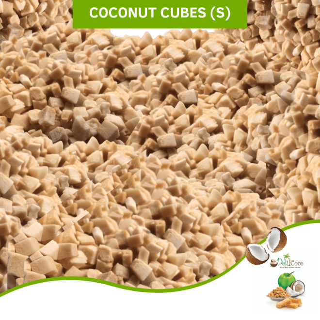 Coconut Cube S